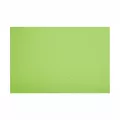 Set de table 30x40cm Vert Kiwi COLOR